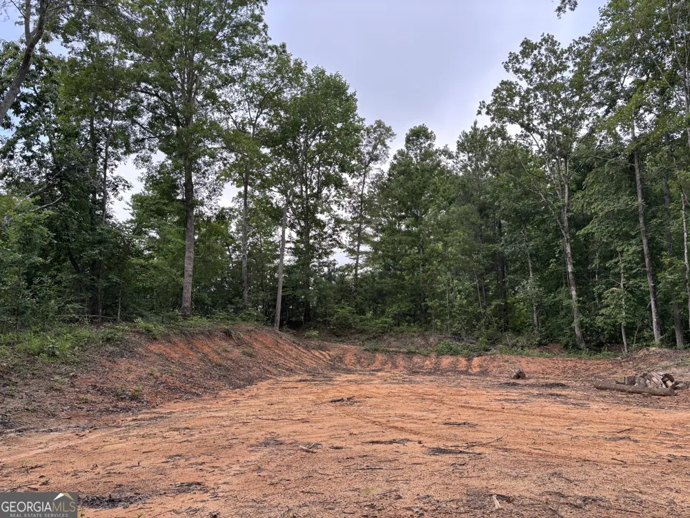 TRACT 1 343 County road 892 Wedowee, AL 36278