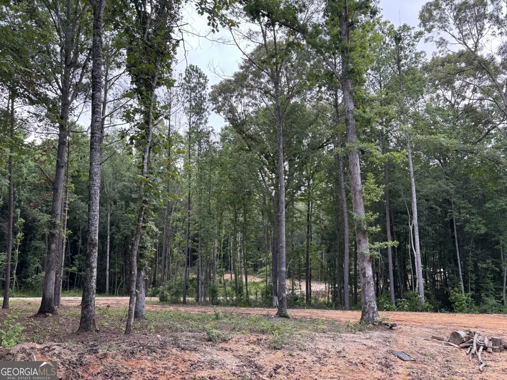 TRACT 1 343 County road 892 Wedowee, AL 36278