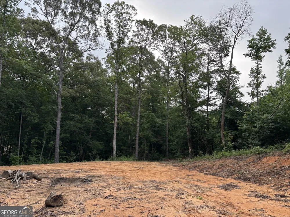 TRACT 1 343 County road 892 Wedowee, AL 36278