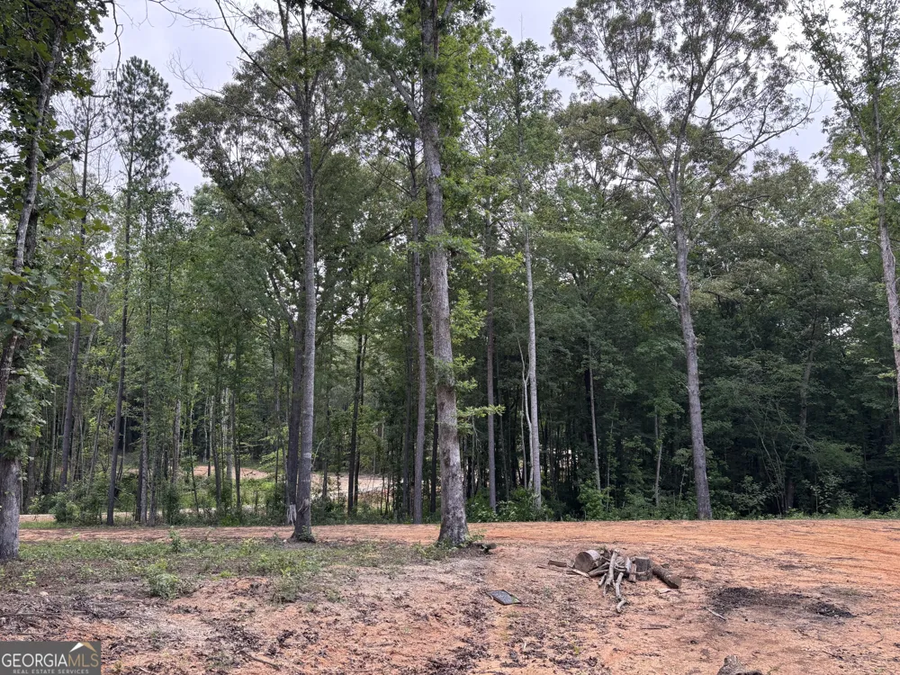 TRACT 1 343 County road 892 Wedowee, AL 36278