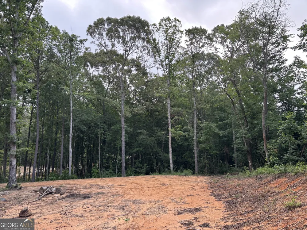 TRACT 1 343 County road 892 Wedowee, AL 36278