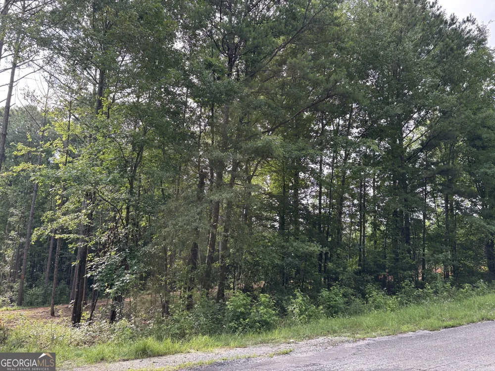 TRACT 1 343 County road 892 Wedowee, AL 36278