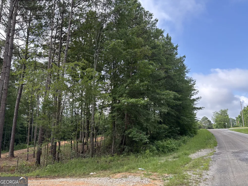TRACT 1 343 County road 892 Wedowee, AL 36278
