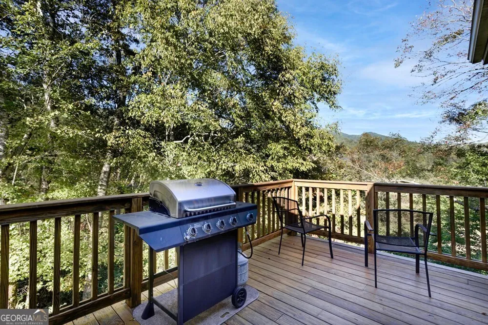 14 Rivendell WAY Hayesville, NC 28904