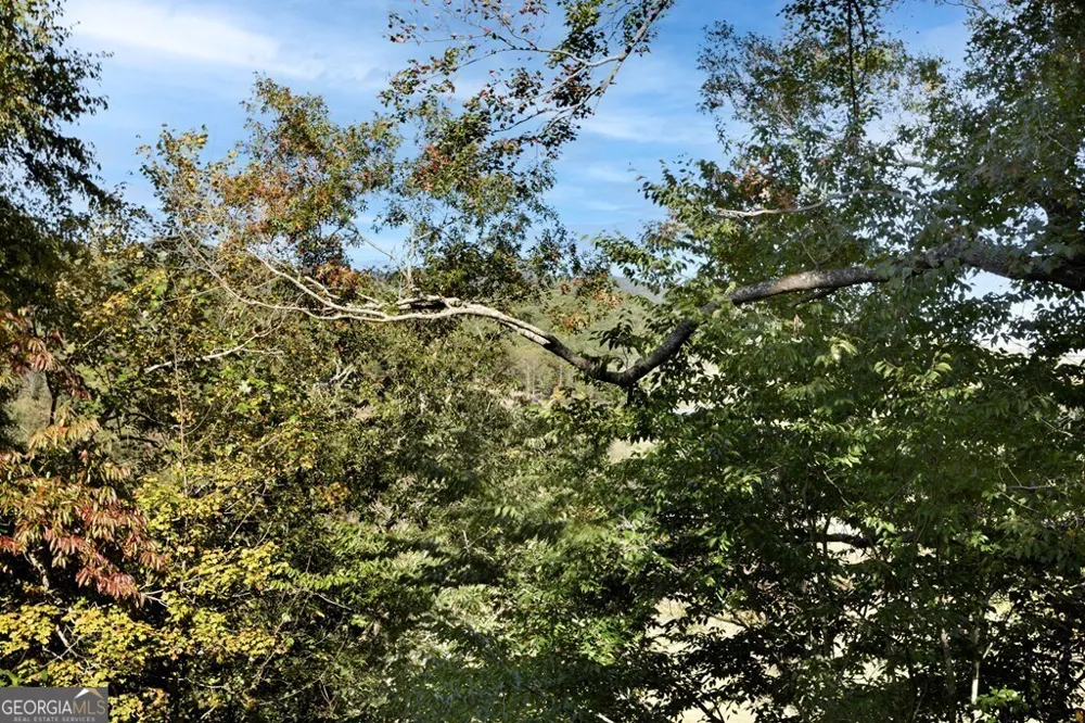 14 Rivendell WAY Hayesville, NC 28904