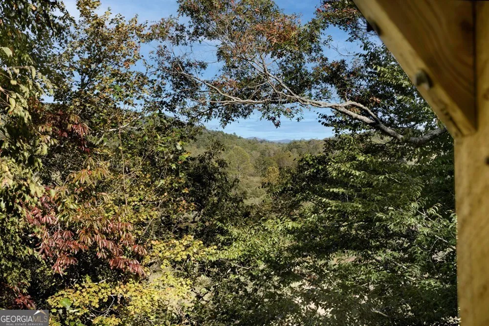 14 Rivendell WAY Hayesville, NC 28904