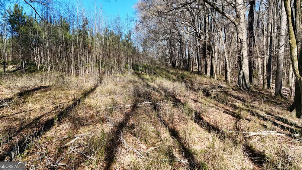 40 Meadow TRL Social Circle, GA 30025