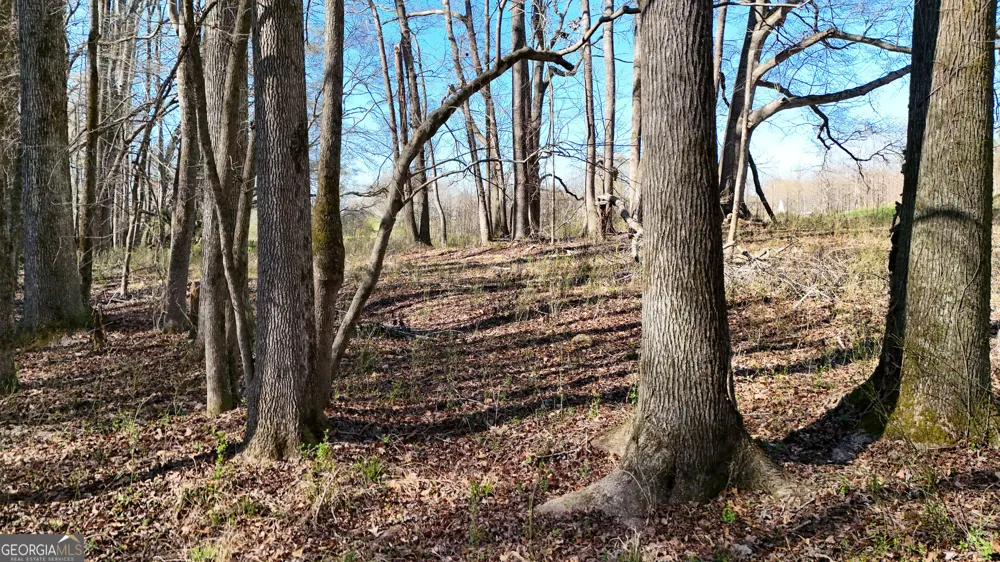 40 Meadow TRL Social Circle, GA 30025