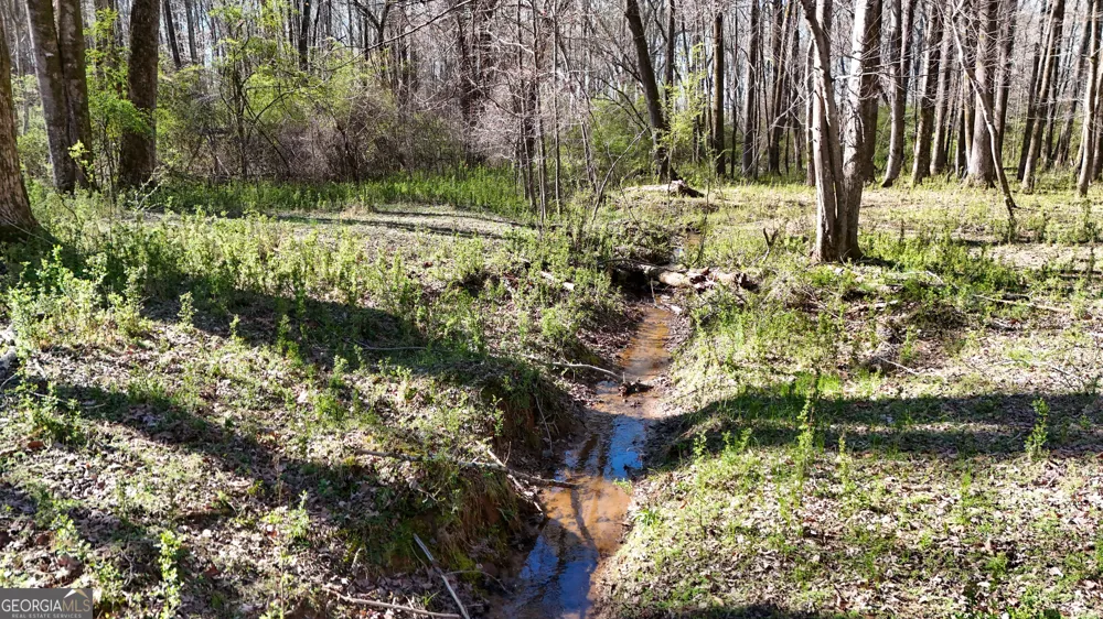 40 Meadow TRL Social Circle, GA 30025
