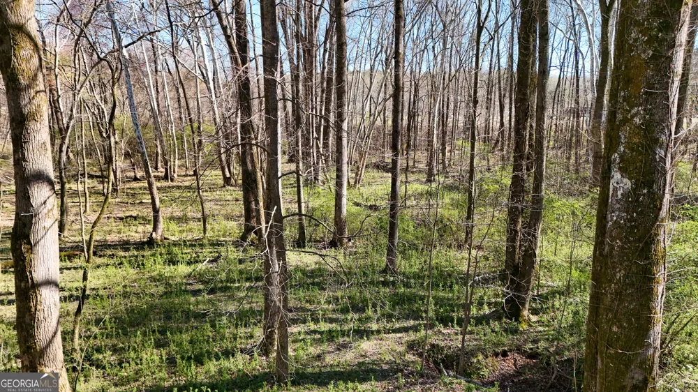 40 Meadow TRL Social Circle, GA 30025