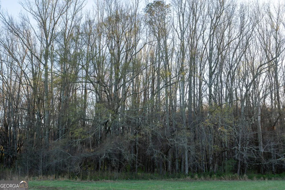 40 Meadow TRL Social Circle, GA 30025
