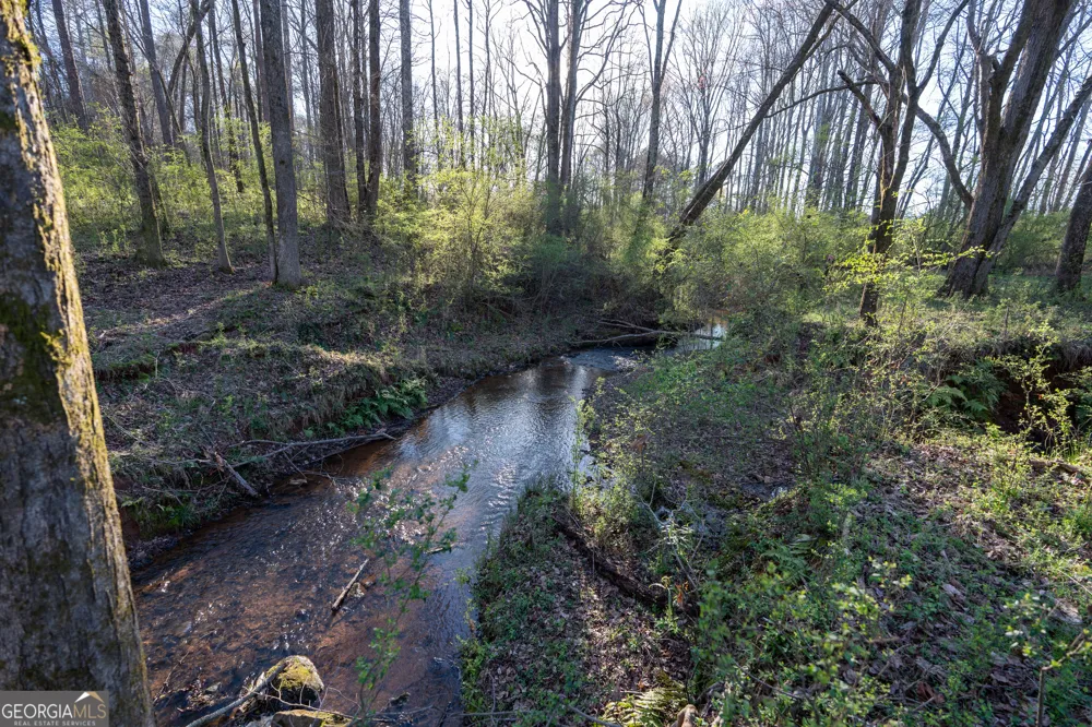 40 Meadow TRL Social Circle, GA 30025