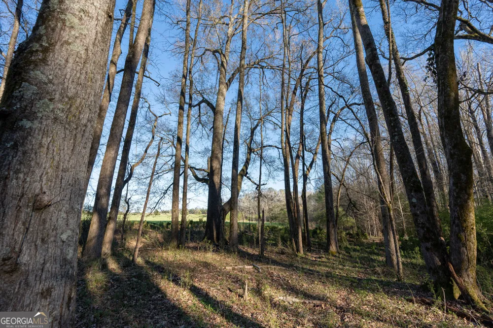 40 Meadow TRL Social Circle, GA 30025