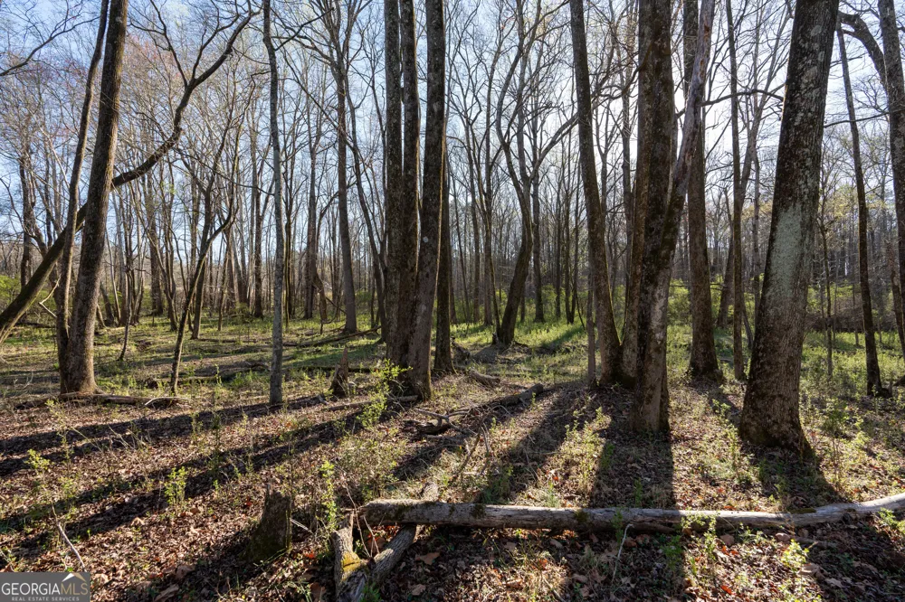40 Meadow TRL Social Circle, GA 30025