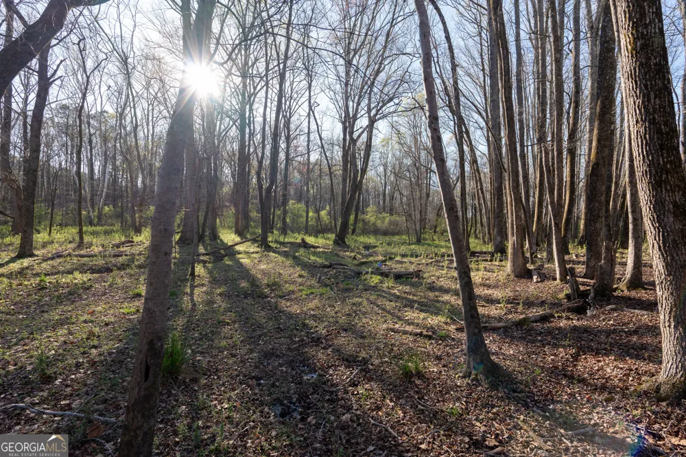 40 Meadow TRL Social Circle, GA 30025