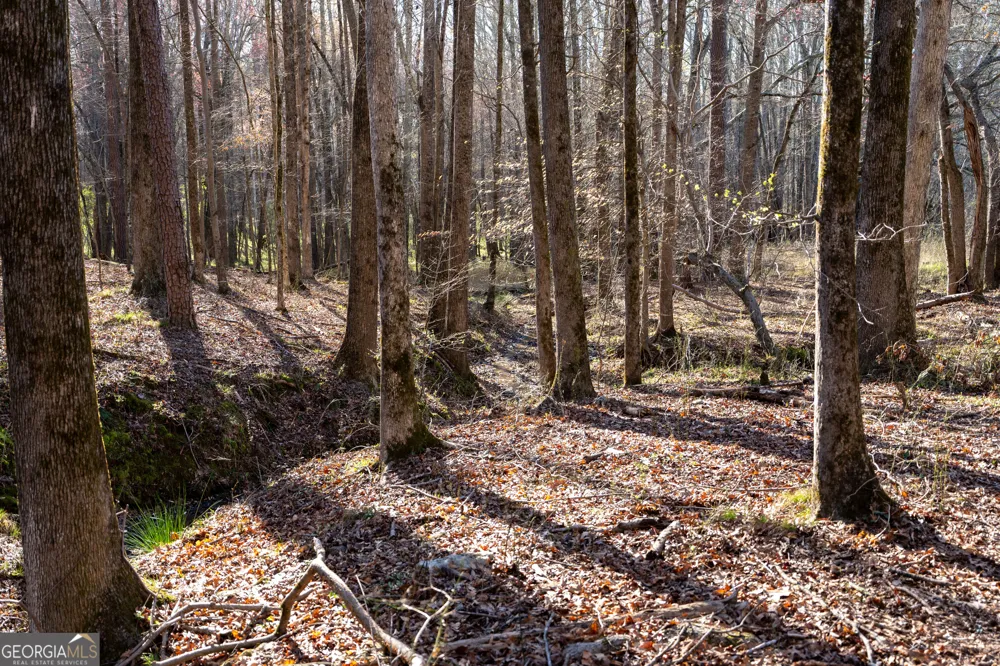 40 Meadow TRL Social Circle, GA 30025
