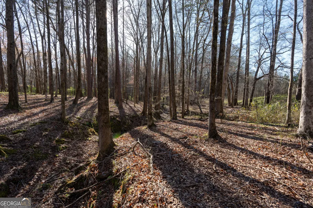 40 Meadow TRL Social Circle, GA 30025