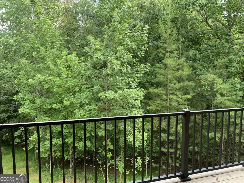 2408 Standing Meadows DR Young Harris, GA 30582