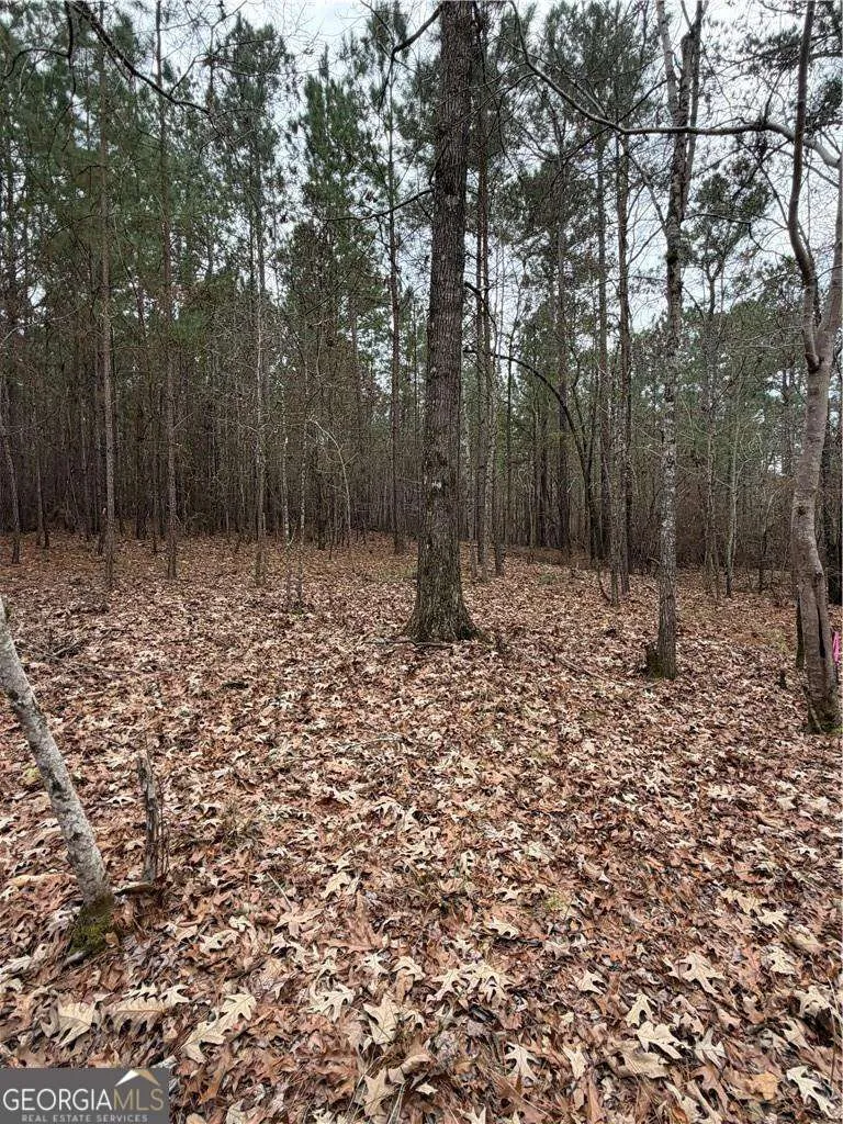 1700 Northwoods DR Greensboro, GA 30642