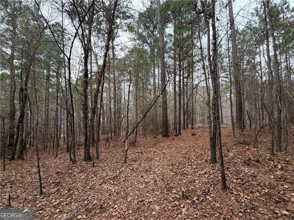 1700 Northwoods DR Greensboro, GA 30642