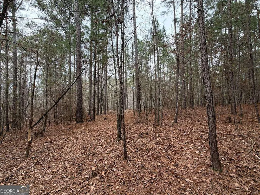 1700 Northwoods DR Greensboro, GA 30642