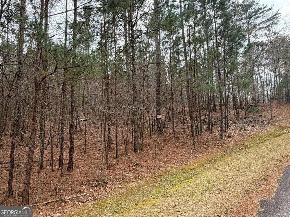 1700 Northwoods DR Greensboro, GA 30642