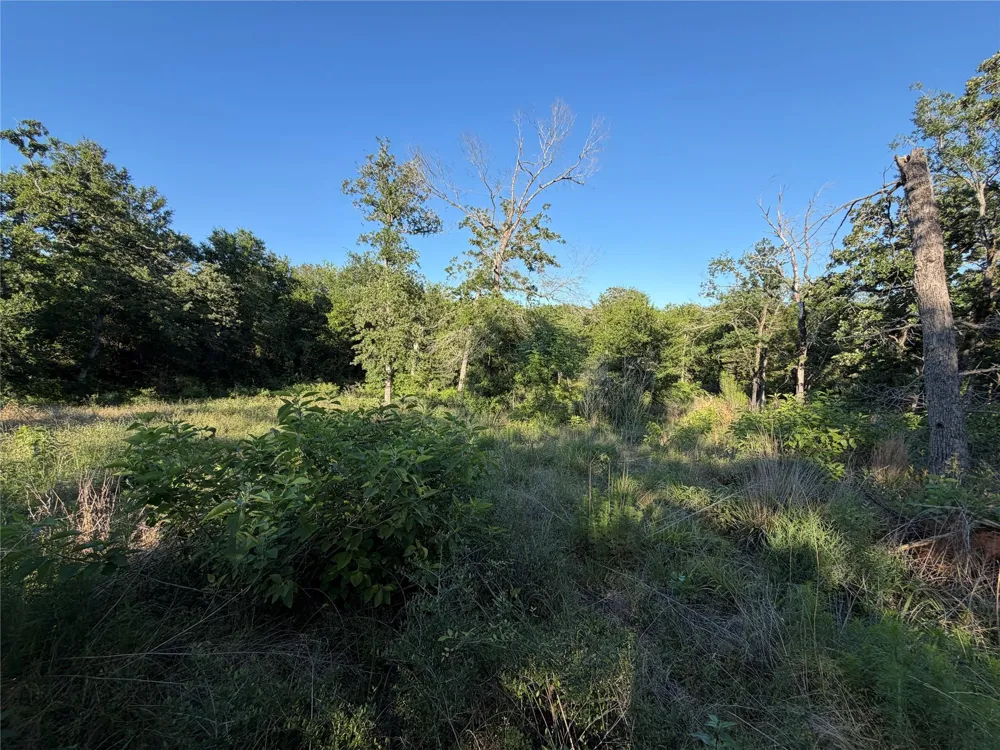 37 Cr 0389 Jewett, TX 75846