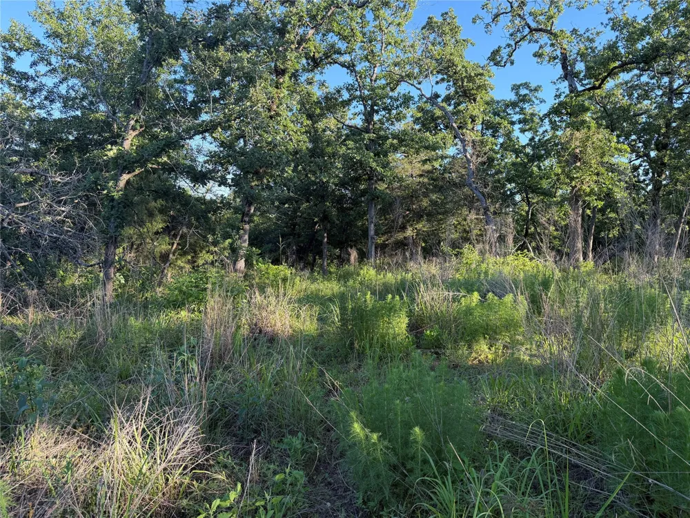 37 Cr 0389 Jewett, TX 75846