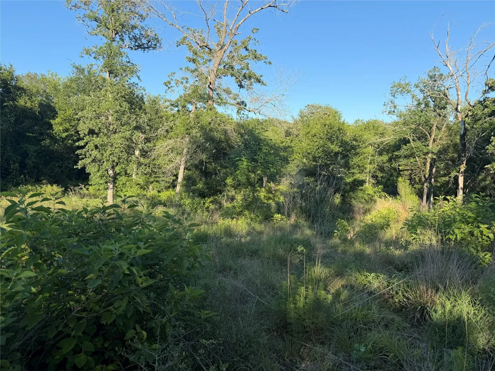 37 Cr 0389 Jewett, TX 75846
