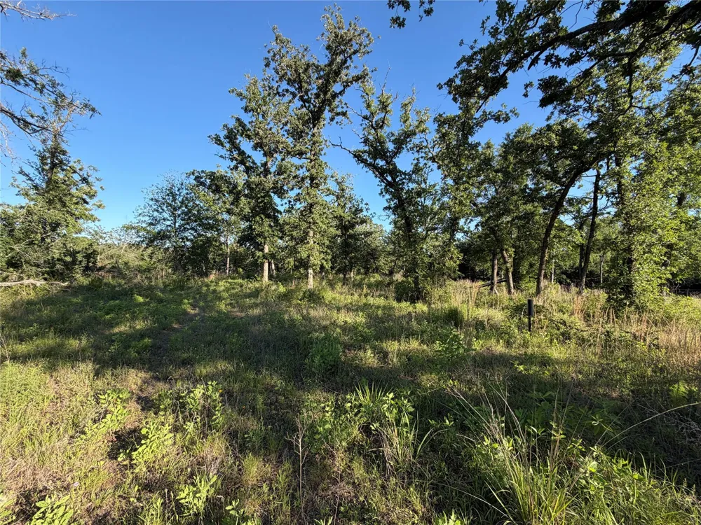 37 Cr 0389 Jewett, TX 75846