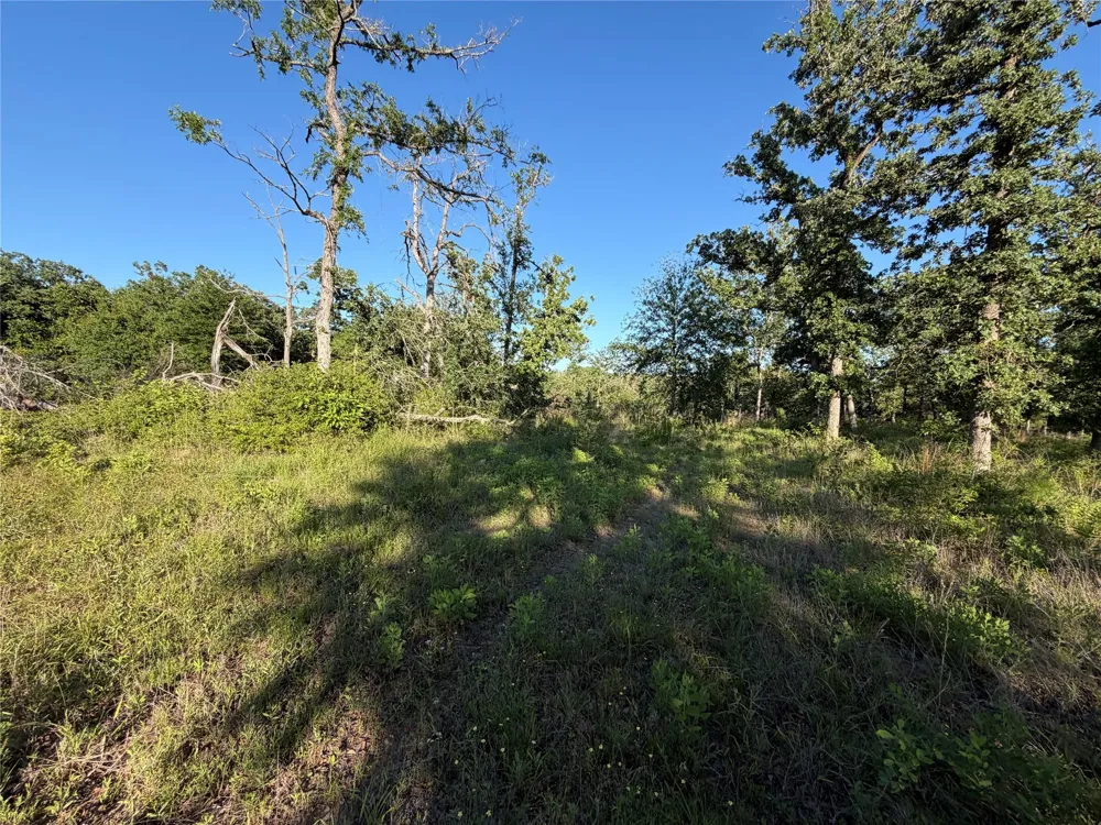 37 Cr 0389 Jewett, TX 75846