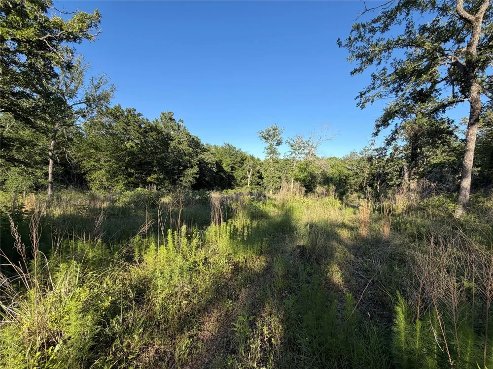 37 Cr 0389 Jewett, TX 75846
