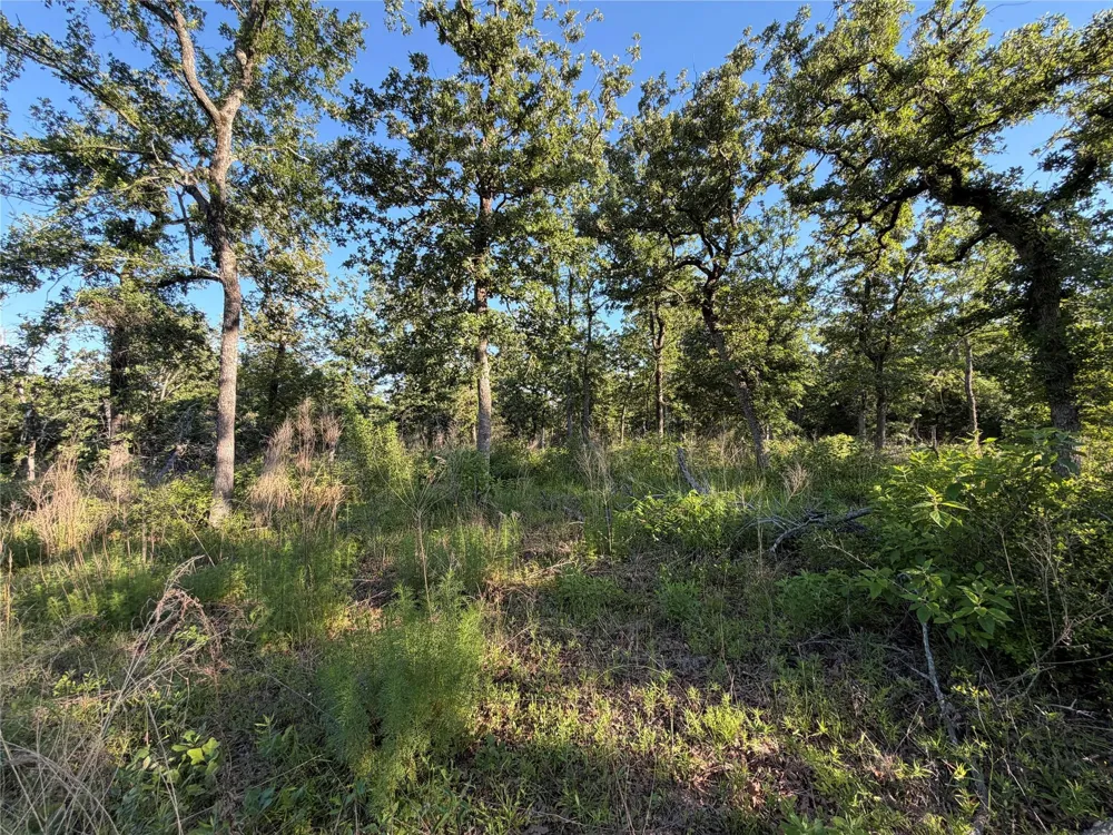 37 Cr 0389 Jewett, TX 75846