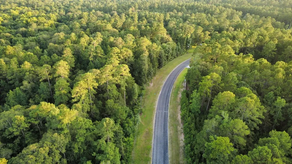 Sundog Road Huntsville, TX 77340