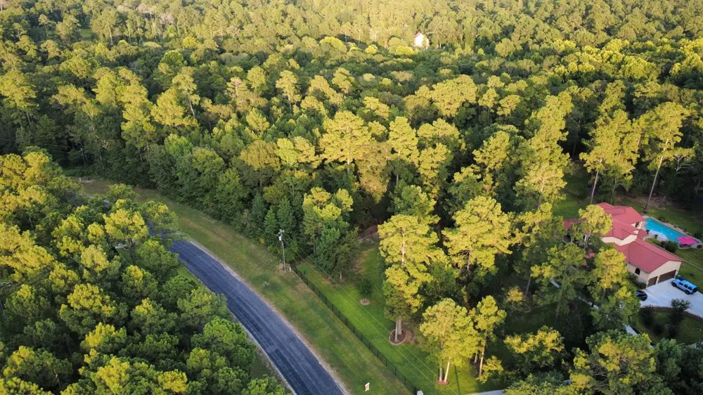 Sundog Road Huntsville, TX 77340