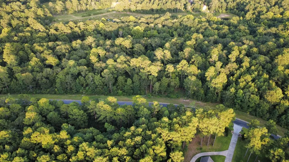 Sundog Road Huntsville, TX 77340