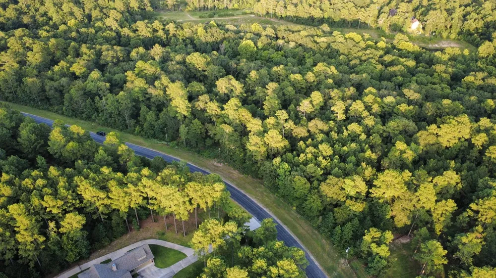 Sundog Road Huntsville, TX 77340