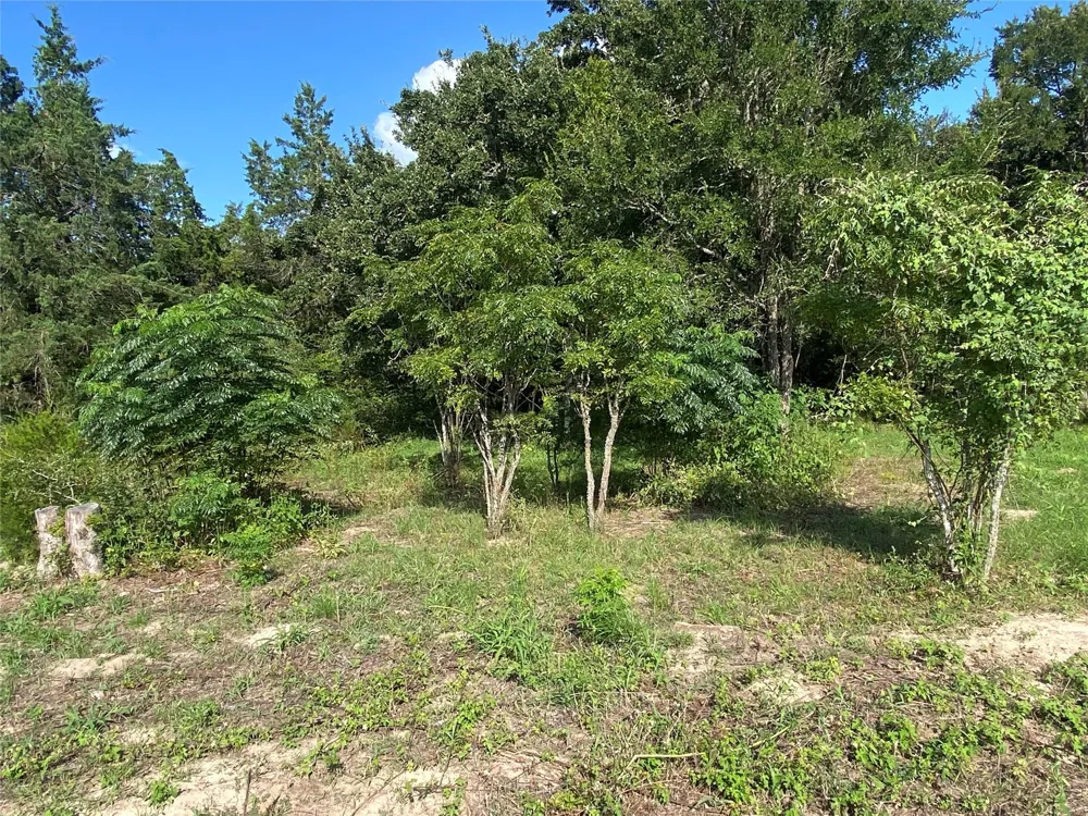 571 Railroad St Road Somerville, TX 77879
