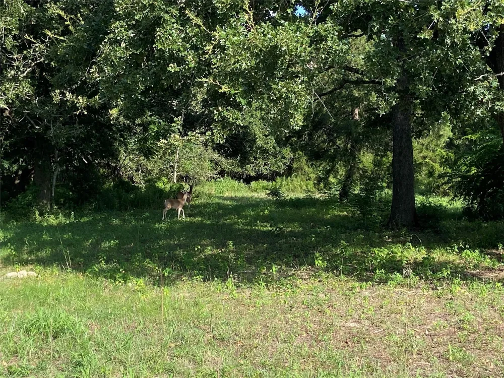 571 Railroad St Road Somerville, TX 77879