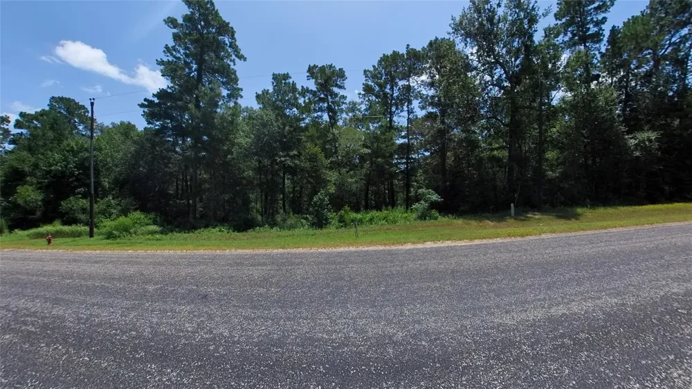 4 Sundog Road Huntsville, TX 77340
