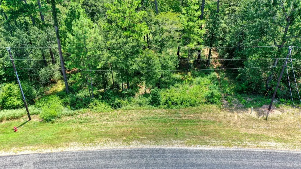 4 Sundog Road Huntsville, TX 77340