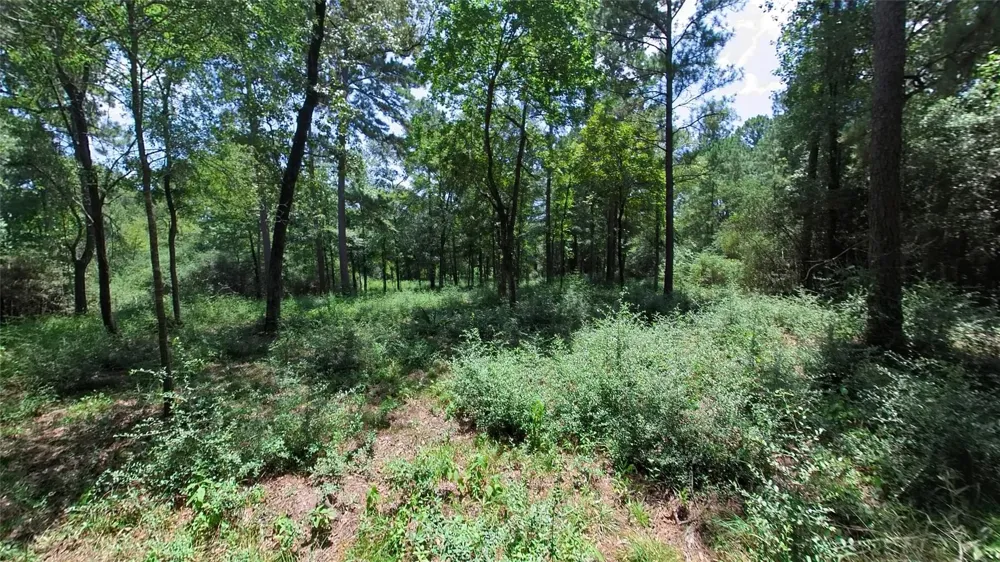 4 Sundog Road Huntsville, TX 77340