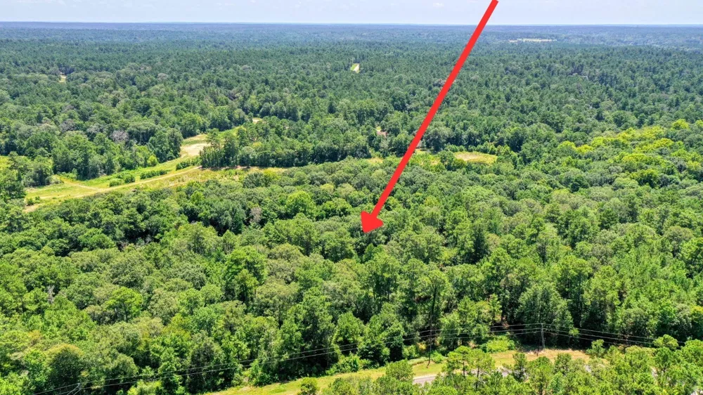 4 Sundog Road Huntsville, TX 77340