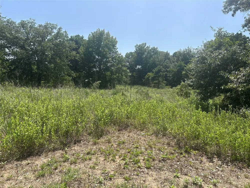 CR 3841 #Tract 64 Hawkins, TX 75765
