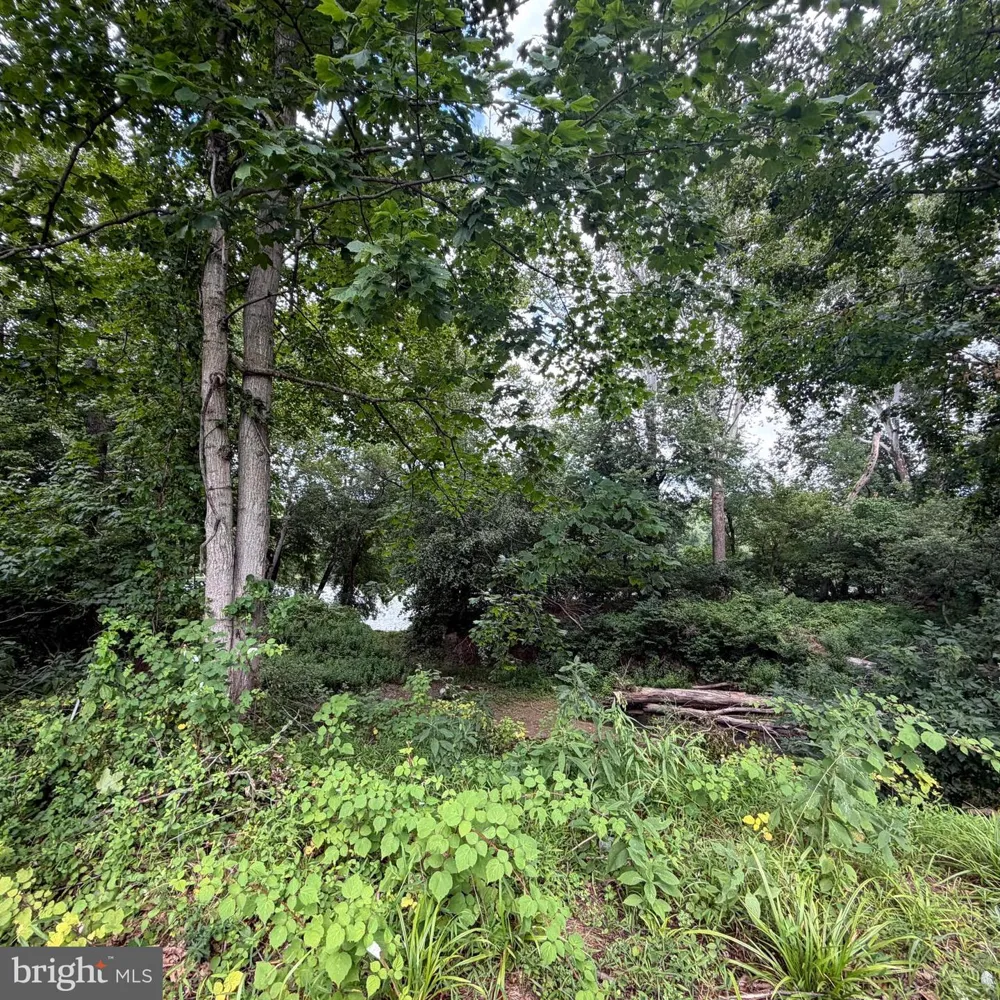 955 STAYMAN DRIVE Falling Waters, WV 25419