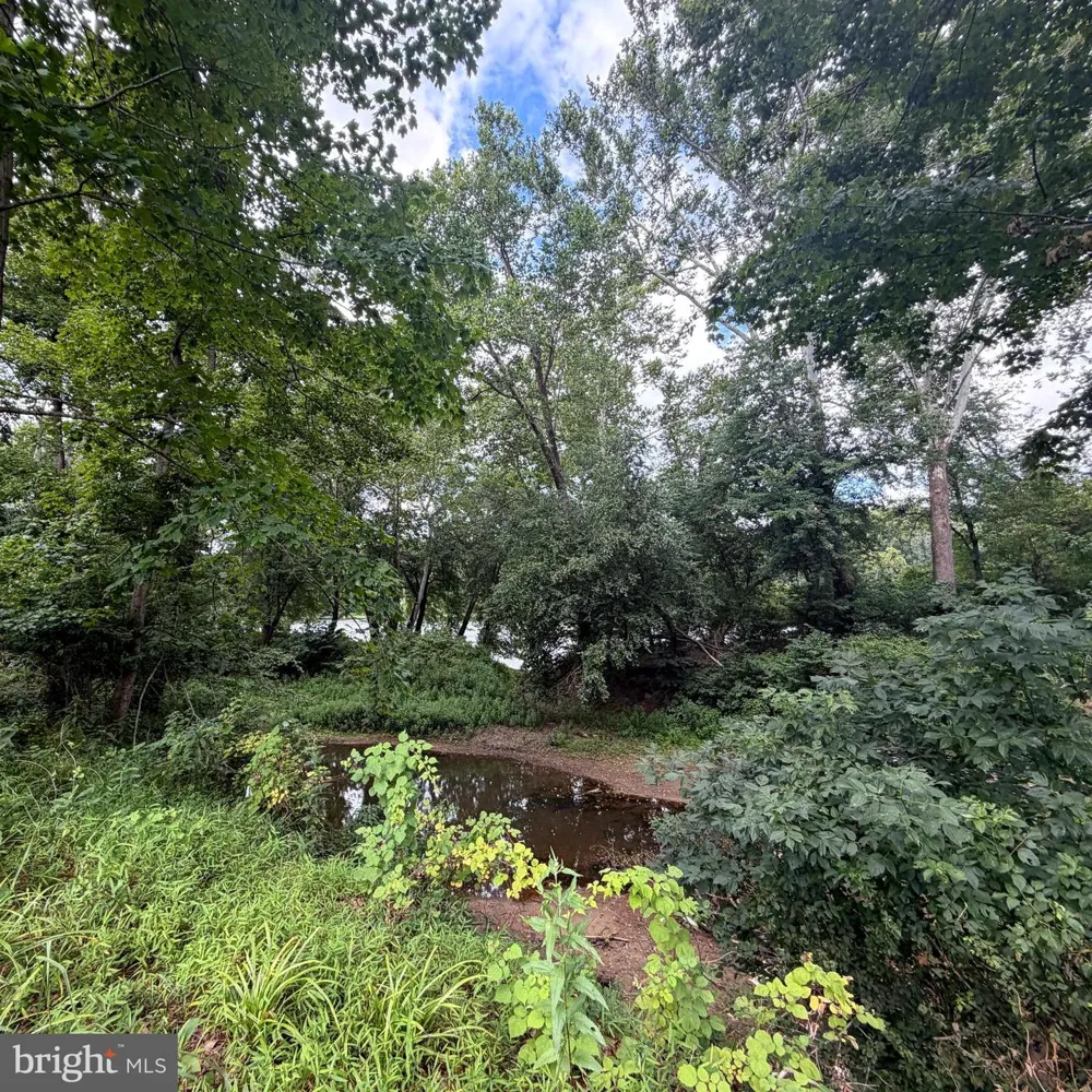 955 STAYMAN DRIVE Falling Waters, WV 25419