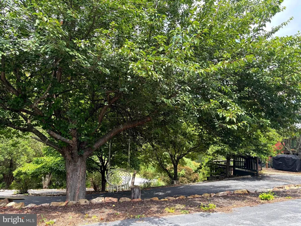 955 STAYMAN DRIVE Falling Waters, WV 25419