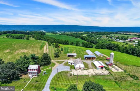 239 NEWBURG ROAD