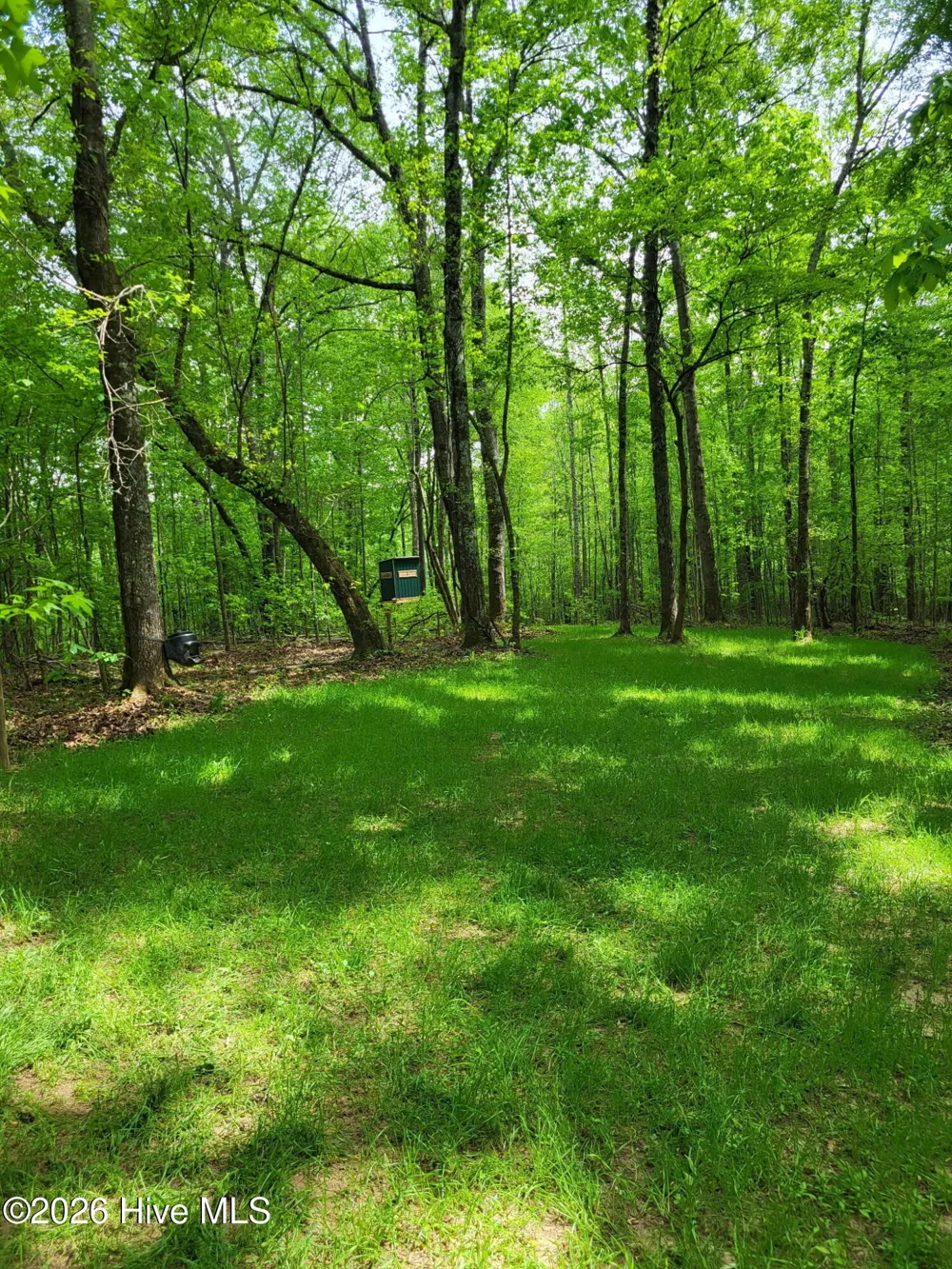 000 Court Ground Road Washington, GA 30673