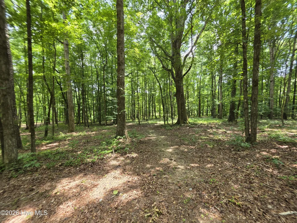 000 Court Ground Road Washington, GA 30673